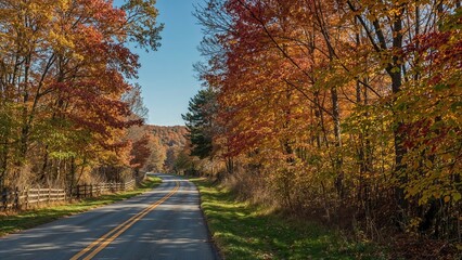 Naklejka premium A scenic autumn road surrounded by colorful trees in fall.