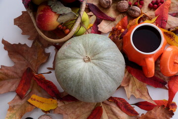 Colorful autumn composition on the white background.