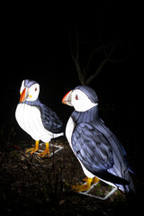 Animales de luz en Navidad, Light animals at Christmas