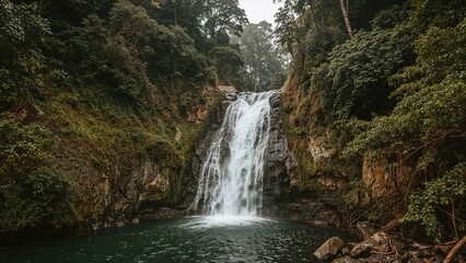 Fototapeta premium Waterfall flowing into a pool with lush greenery and forest surroundings. Nature scenery, tranquil environment, and outdoor landscape.