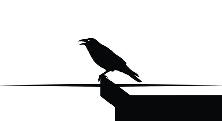Black bird perched on wire crow raven