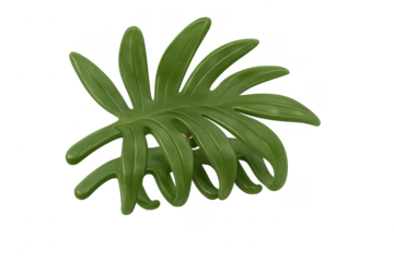 Green philodendron leaf hair claw accessory on transparent background