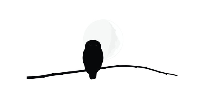 Black owl perched on branch against moon bird night