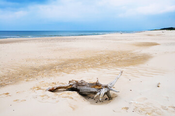 Beach landscape on the Baltic Sea in Poland
