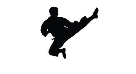 Martial artist performing high kick vector