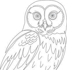 Detailed line drawing of a majestic owl with intricate feather and eye details