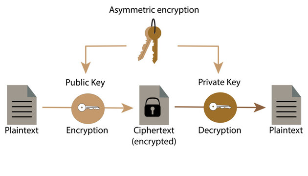 Asymmetric Encryption Process with Public and Private Keys Illustration