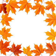 Maple leaves frame a dark void. Autumn colors abound