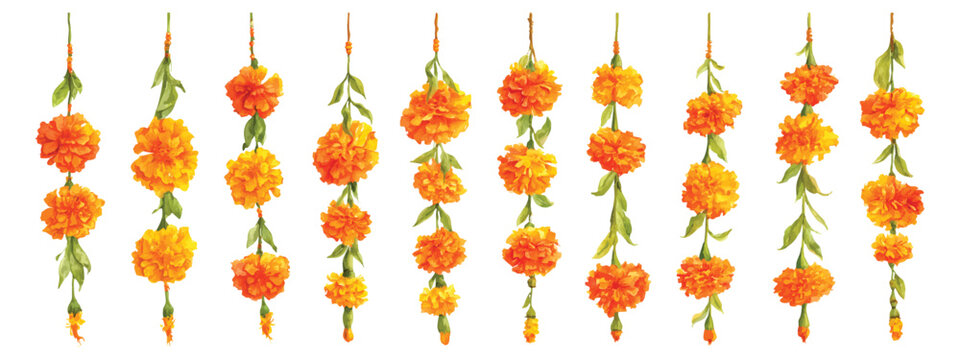 Diwali marigold flower garland hanging vertically, Indian floral festival wedding decorative watercolor set isolated on transparent background
