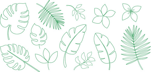 Summary  pair of tropical palm leaves.  Tropic tree leaves in a single continuous line art piece.  Editable monstera, flowery element with jungle foliage.  Vector illustration © UIA Design 