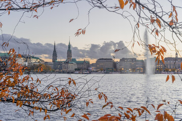 View through leaves of the Alster in autumn
