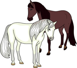 White horse and brown horse isolated on white background