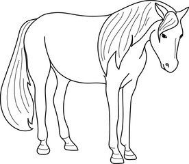 Coloring page with horse isolated on white background	