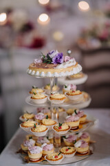 Beautifully arranged dessert display featuring a multi-tiered cake stand with assorted cupcakes and floral decorations, perfect for celebrations and special occasions
