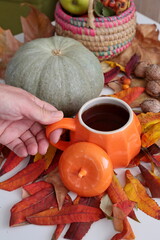 Autumn still life with pumpkin in the village.