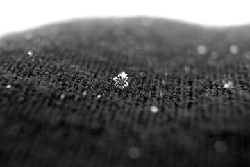 snowflake up close