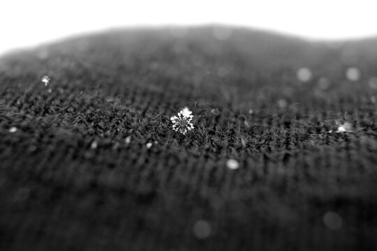 snowflake up close