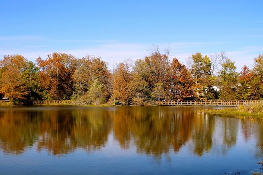 autumn in the park