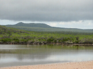 Overcast Lagoon with Green Mangroves and Distant Hill