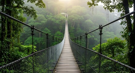 A long suspension bridge leads into lush, green, misty rainforest. Sunlight streams down on the path. The structure stretches ahead