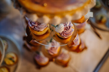Colorful cupcakes with delicate frosting are beautifully arranged on a tiered stand, showcasing an elegant dessert display for celebrations and special occasions