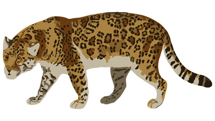 Vectorized jaguar sticker overlay design element