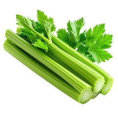Fresh green celery stalks with leafy tops on a dark, plain backdrop