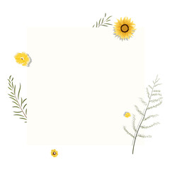 Obraz premium Spring flowers png badge, transparent background