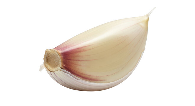 Close up macro shot of a single raw garlic clove healthy food ingredient transparent background