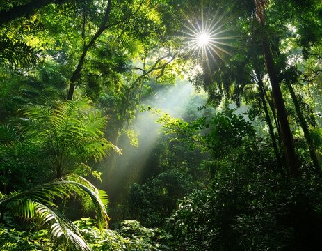 lush canopy sunlight filtering - Powered by Adobe