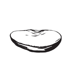 Apple cut slice with seeds, black and white hand ink drawing