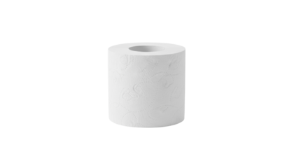 A single white cylindrical object with a hollow center placed upright on a clean surface in a bright setting on white