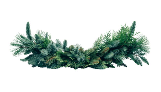 A lush green garland made of pine branches and needles arranged in a curved shape on a white background high-key lighting