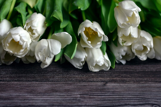 Lying bouquet of white tulips on a wooden surface. many white tulips on wooden background. Floral spring background. 8 March, Easter, Mother s day concept. First spring flowers.