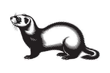 Vintage illustration of a black footed ferret looking upwards
