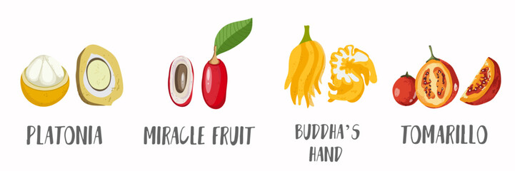 Vector fruits icons set in hand drawn style. Collection farm product for restaurant menu, market label.