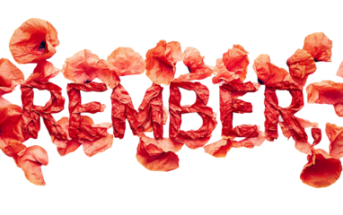 Artistic composition of poppy petals arranged to spell remember symbolizing tribute and commemoration with beauty