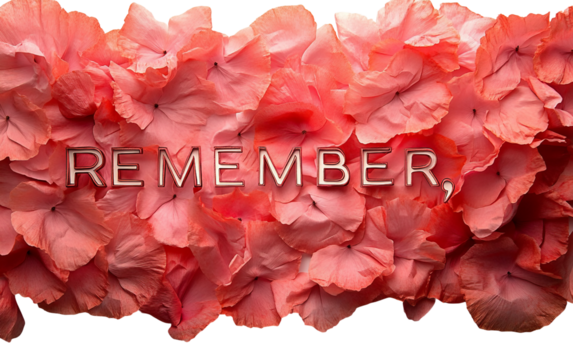 Layered red poppy petals forming the word remember in elegant floral typography honoring remembrance and reflection