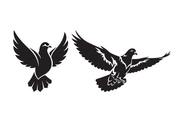 Two silhouette pigeons in flight with wings spread wide