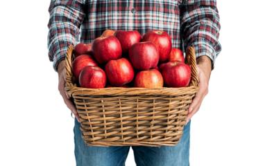 Healthy harvest scene with a man holding a basket overflowing with red apples in plaid attire