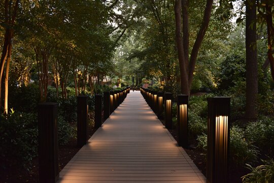 Illuminated pathway through lush greenery creates a serene landscape.
