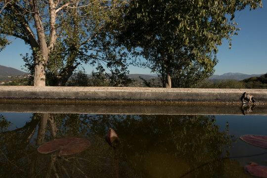 reflection in the water in the pool 