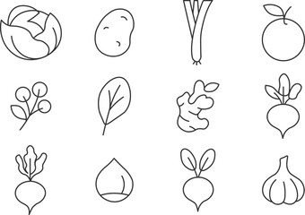Minimalist set of line icons representing a variety of fruits, vegetables, and herbs, isolated on a white background