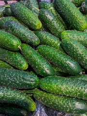 Lots of green cucumbers on the counte in the market. Food background. Vegetables harvest. Sale in the market. Cucumbers top view.