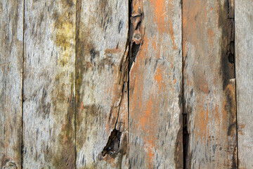 Mokre drewno © RadoslawStan