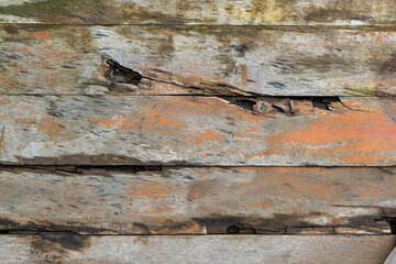 Deseczki mokre © RadoslawStan