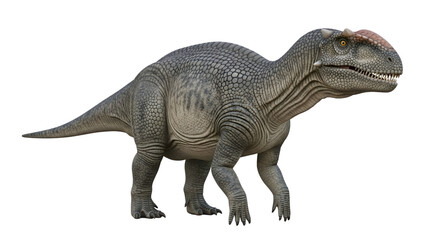 Obraz premium Detailed realistic grey prehistoric dinosaur creature isolated