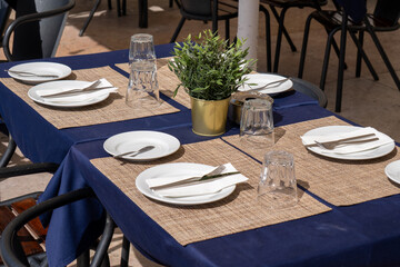 Outdoor Restaurant Table Setting with Blue Tablecloth and Green Plant.