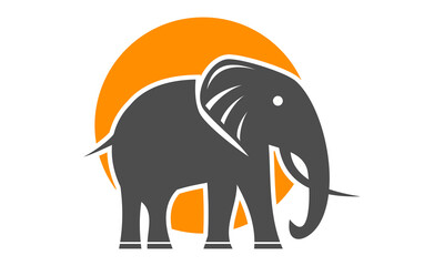 elephant logo template vector