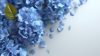 Obraz premium Soft Blue Hydrangea Flowers with Delicate Petals on a Minimalist Background for Floral Arrangement and Nature Inspired Design Projects